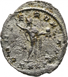 Probus