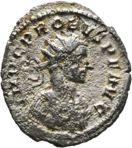 Probus