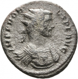 Probus