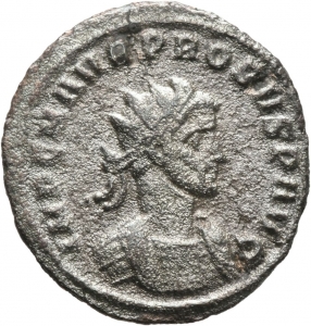 Probus