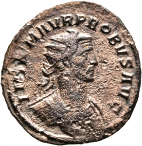 Probus