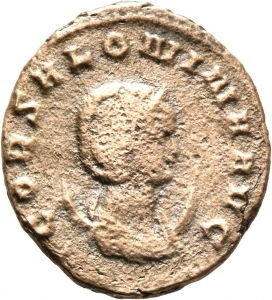 Salonina