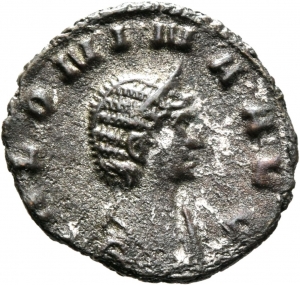 Salonina