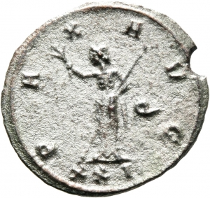 Probus