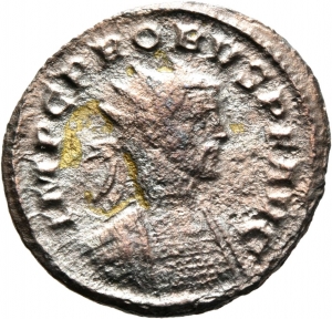 Probus